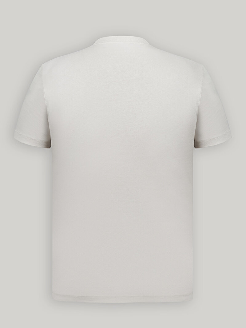 Calvin Klein Gri Renkli Erkek Seasonal Monologo T-shirt
