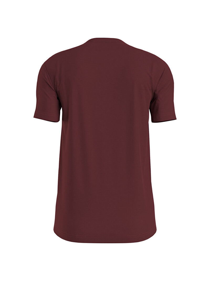 Calvin Klein Kahverengi Renkli Erkek Institutional Logo T-Shirt
