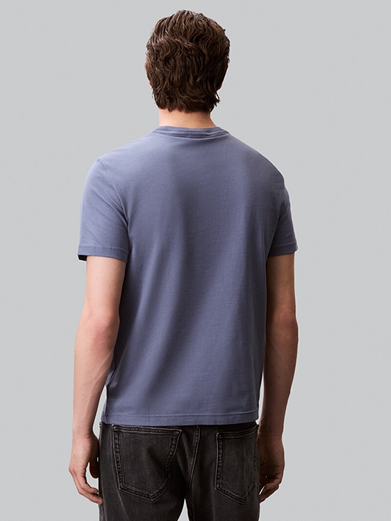 Calvin Klein Gri Renkli Erkek Raised Editorial T-shirt