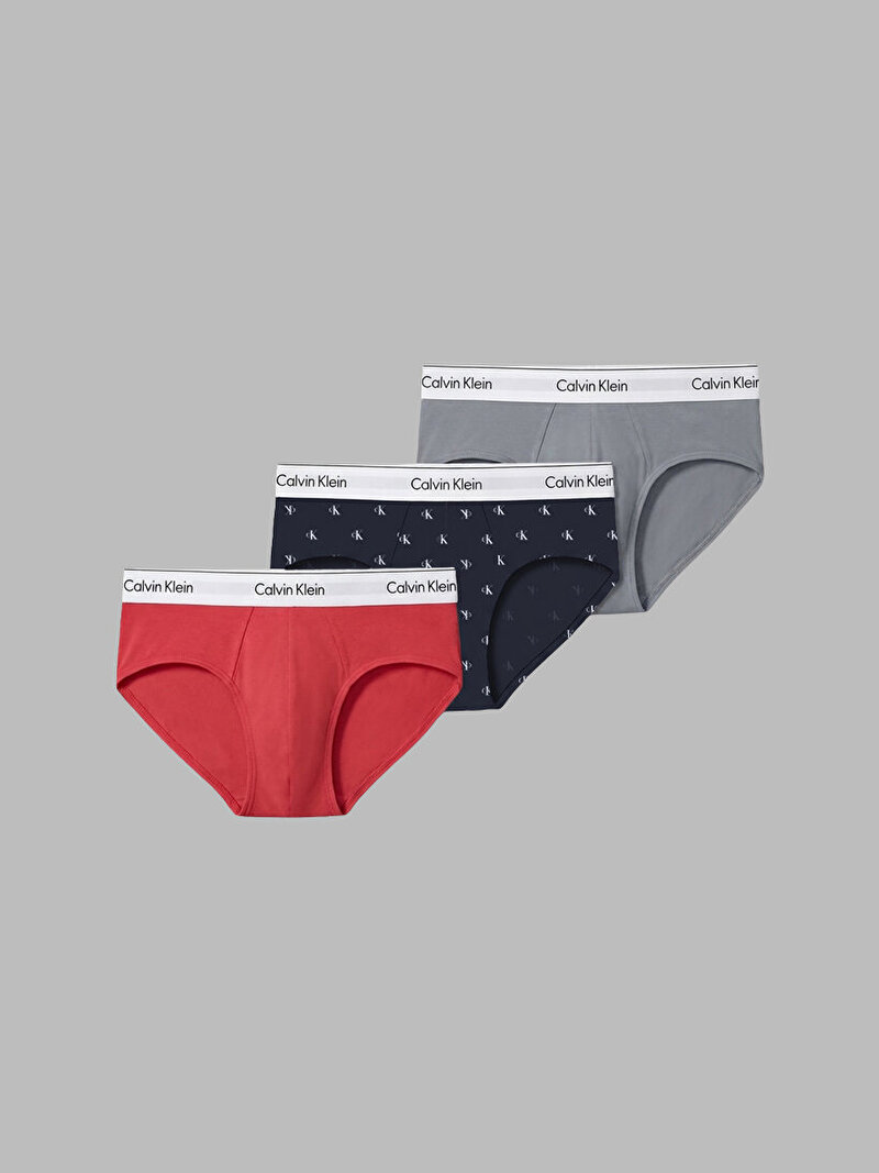 Calvin Klein Çok renkli Renkli Erkek 3'lü Paket Hip Brief Slip