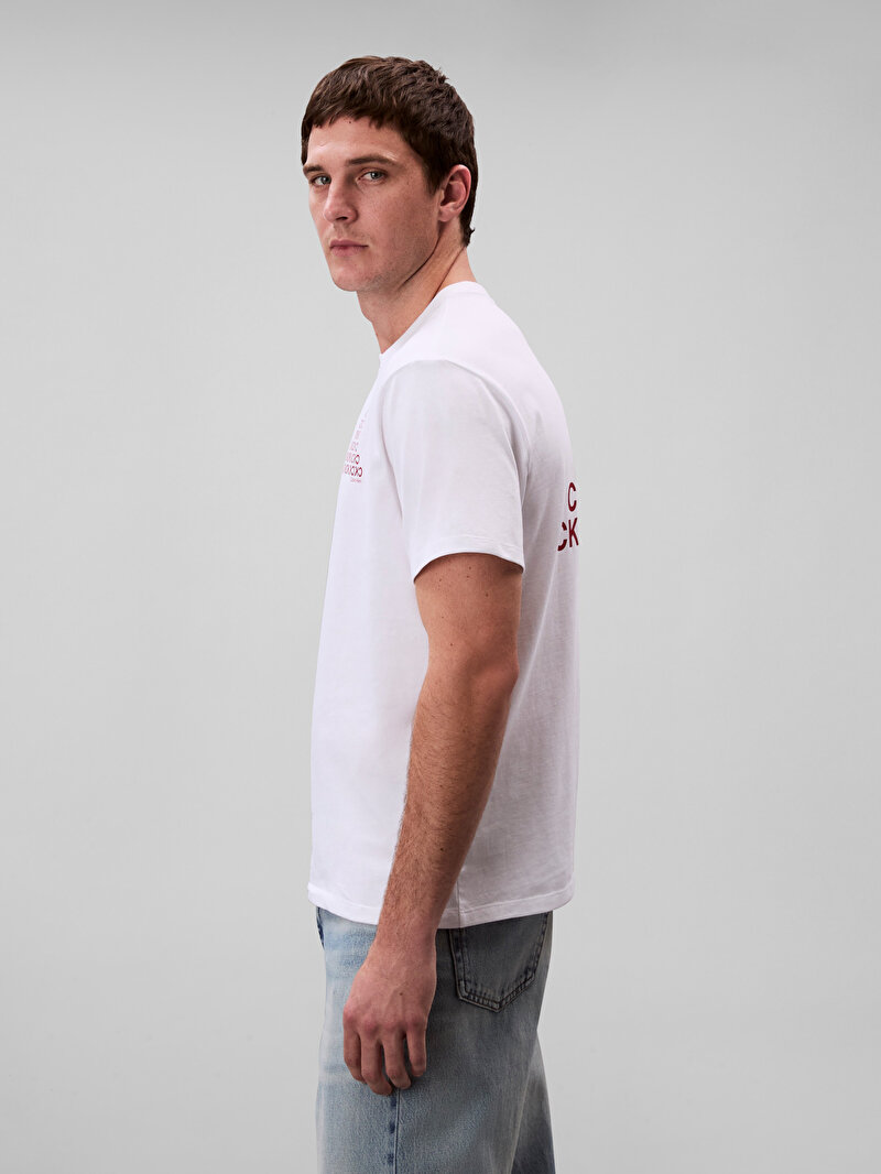 Calvin Klein Beyaz Renkli Erkek 20s Calvin T-shirt