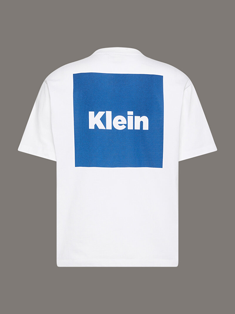 Calvin Klein Beyaz Renkli Erkek 16s Calvin T-shirt