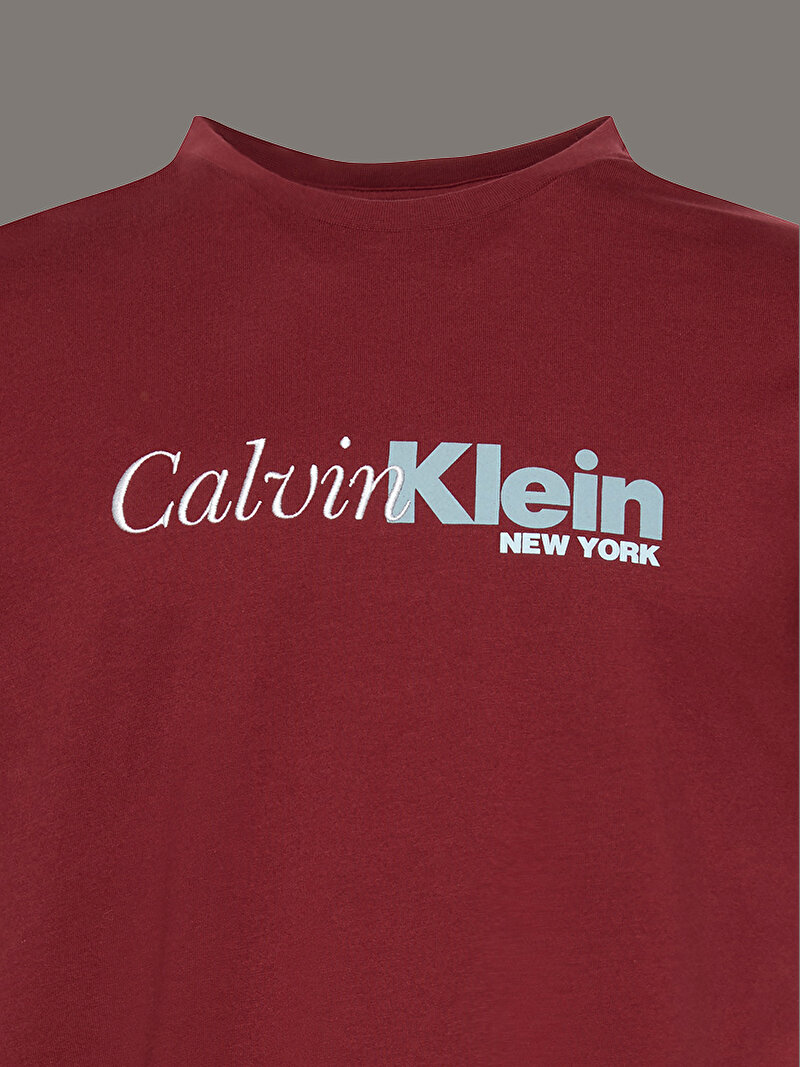 Calvin Klein Kırmızı Renkli Erkek 20s Calvin T-shirt