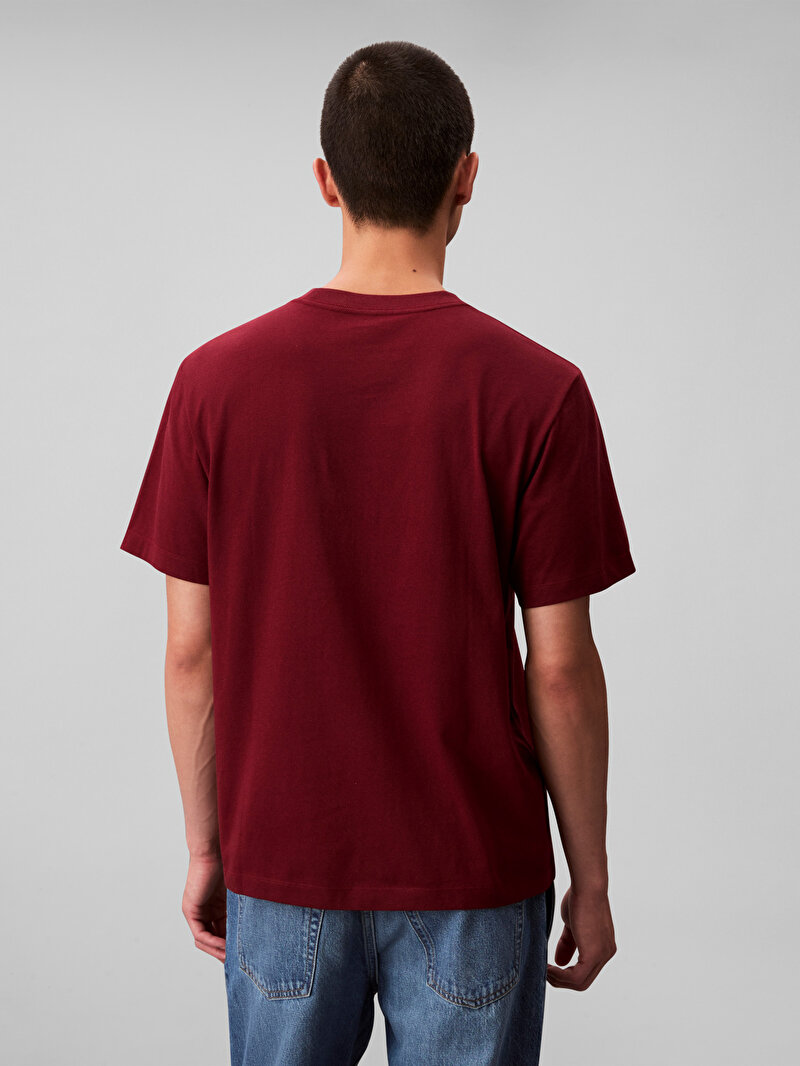 Calvin Klein Kırmızı Renkli Erkek 20s Calvin T-shirt