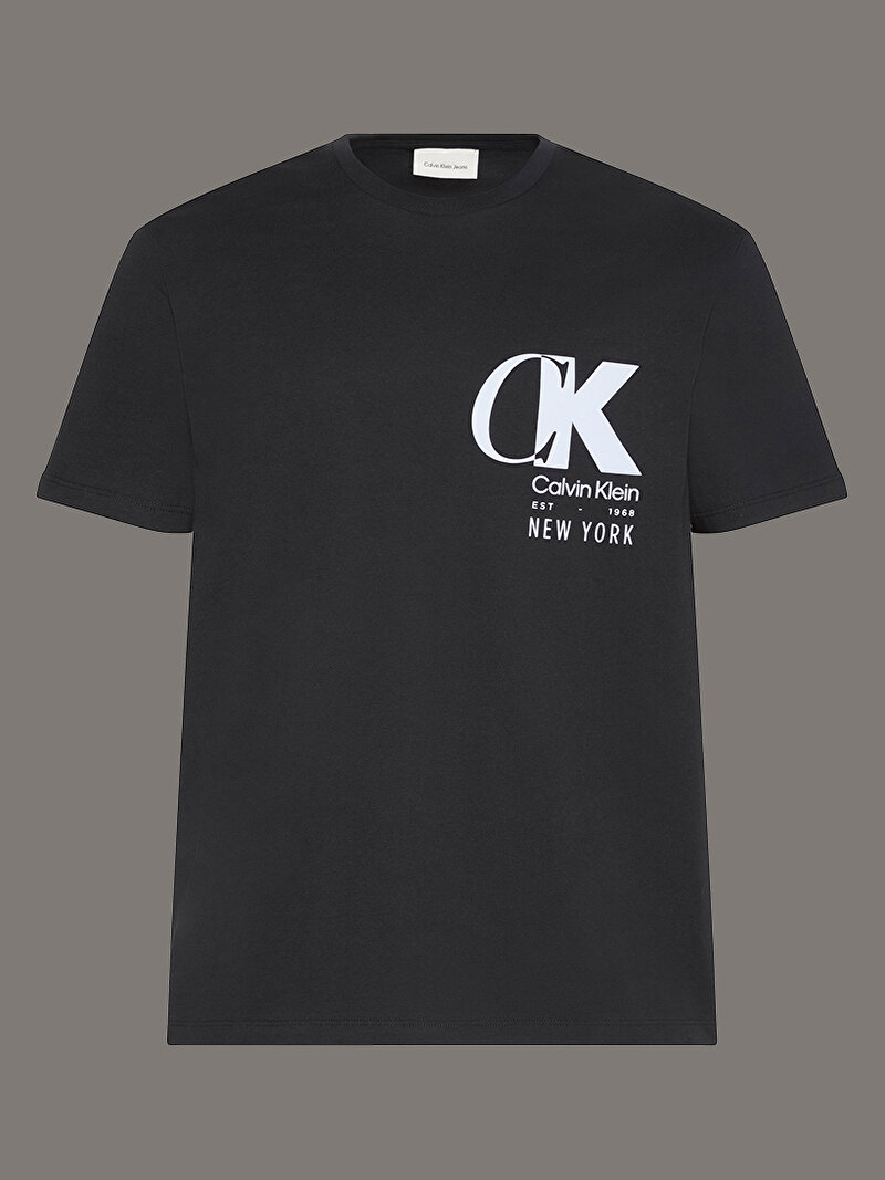 Calvin Klein Siyah Renkli Erkek 20s Calvin T-shirt
