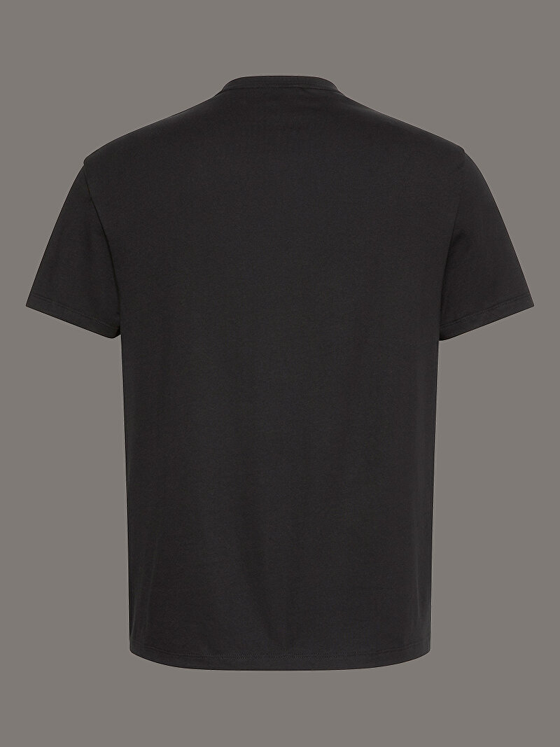 Calvin Klein Siyah Renkli Erkek 20s Calvin T-shirt