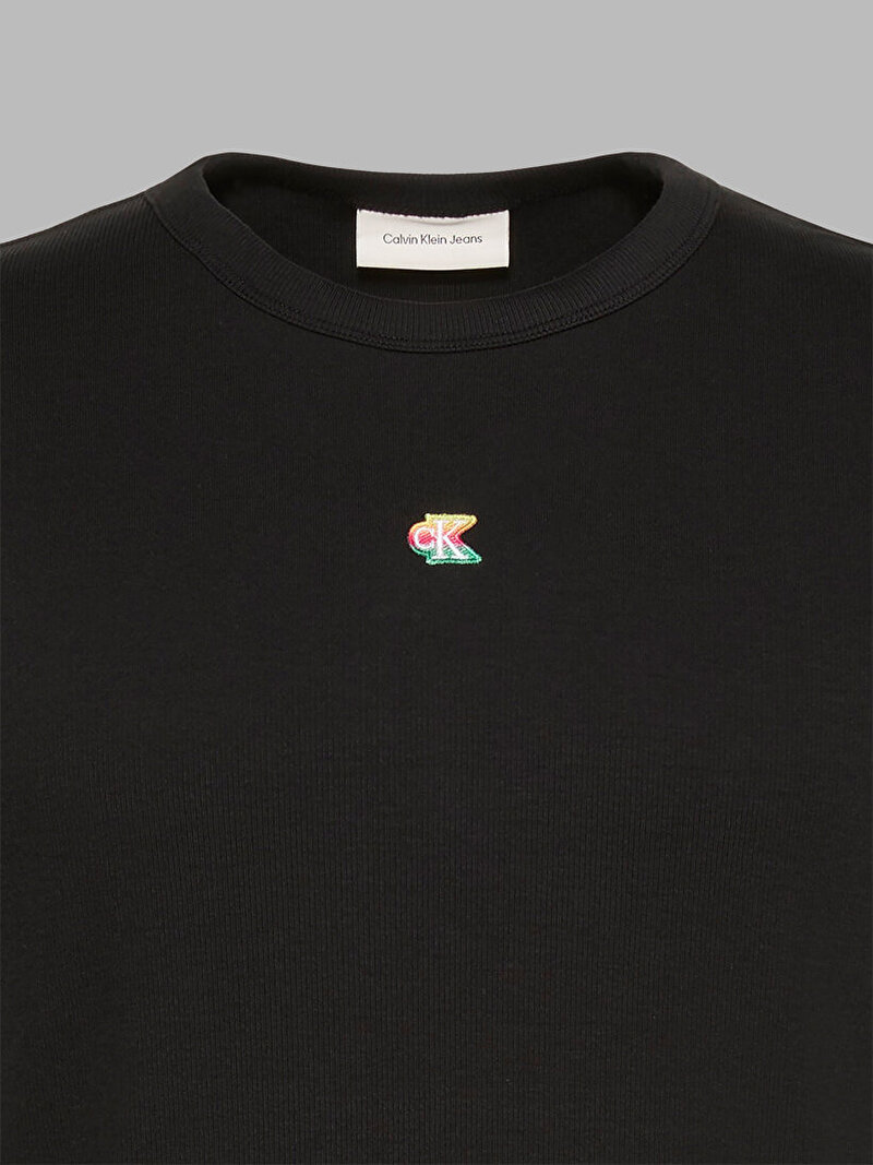 Calvin Klein Siyah Renkli Erkek Rib Slim T-shirt