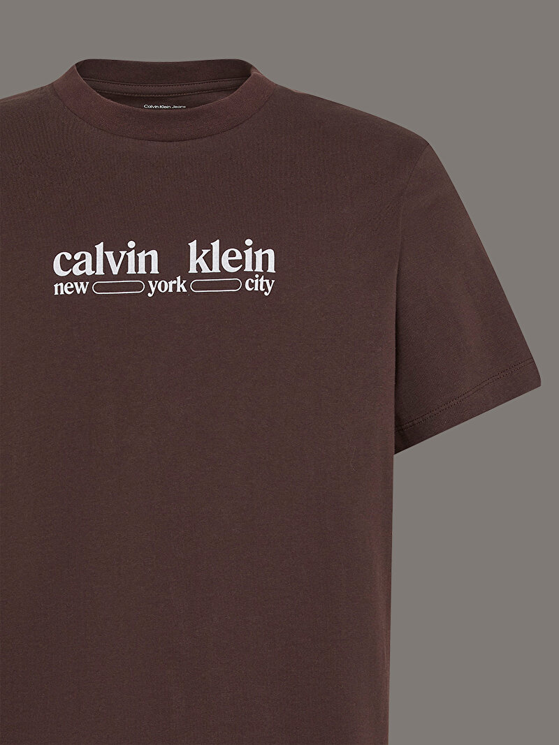 Calvin Klein Kahverengi Renkli Erkek 30s T-shirt