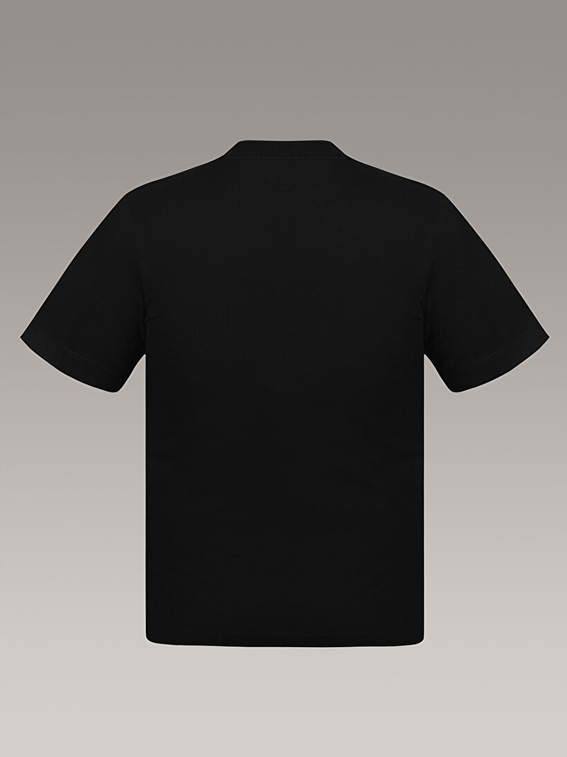 Calvin Klein Siyah Renkli Erkek 30s T-shirt